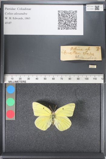 Media type: image;   Entomology 123948